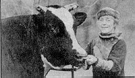 Holstein.jpg (9453 bytes)