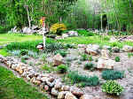 garden-11.jpg (49553 bytes)