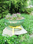 garden-2.jpg (45297 bytes)