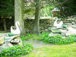 garden-9.jpg (41522 bytes)