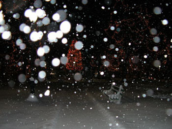 snowy_green_JJW_000