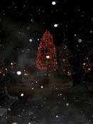 snowy_green_JJW_003