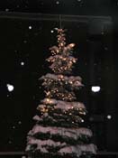 snowy_green_MG_000