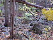 hike2-22.jpg (28069 bytes)