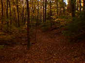 hiking23.jpg (24348 bytes)
