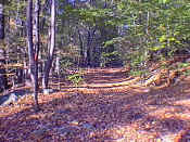 hiking29.jpg (26660 bytes)