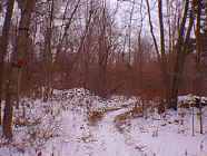 winter10.jpg (26194 bytes)
