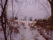 winter11.jpg (23914 bytes)