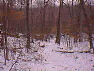 winter31.jpg (23220 bytes)