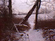 winter32.jpg (25171 bytes)