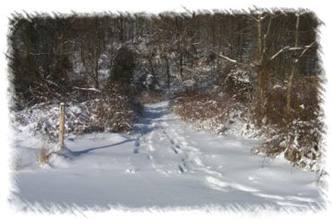 snowhike-011