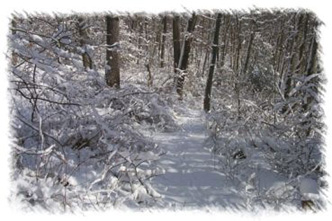 snowhike-015