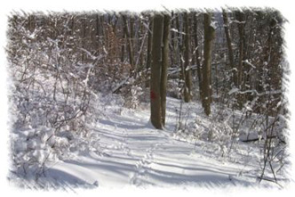 snowhike-016