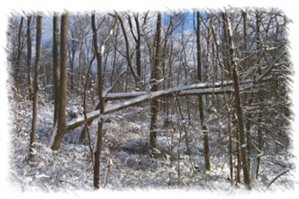 snowhike-017