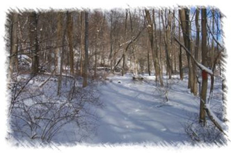 snowhike-020