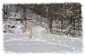 snowhike-027