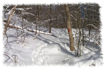 snowhike-029