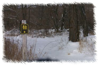snowhike-037