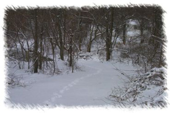 snowhike-040