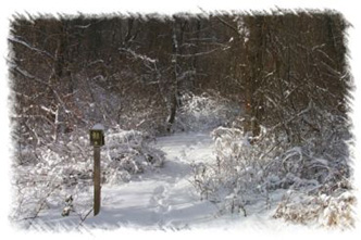 snowhike-041