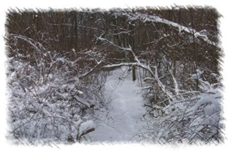 snowhike-043