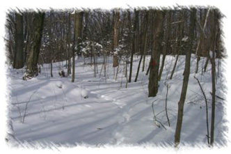 snowhike-044