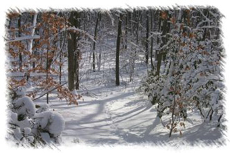snowhike-048