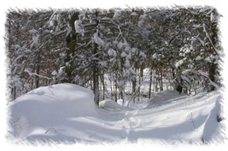 snowhike-052
