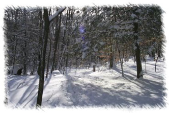 snowhike-057