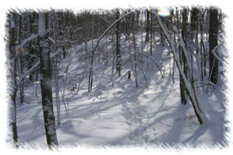 snowhike-060