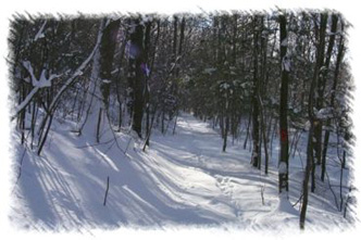 snowhike-077