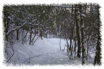 snowhike-078
