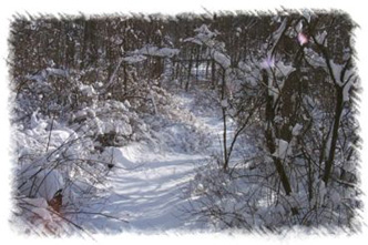 snowhike-085