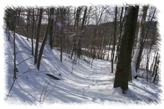snowhike-088
