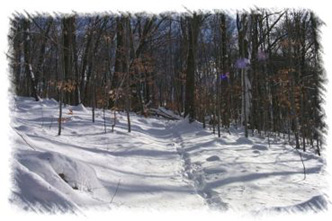 snowhike-091
