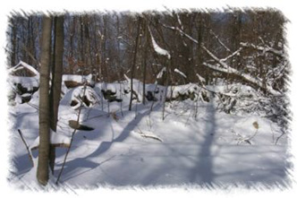 snowhike-102