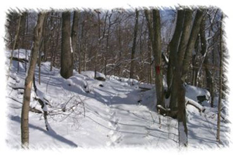 snowhike-104