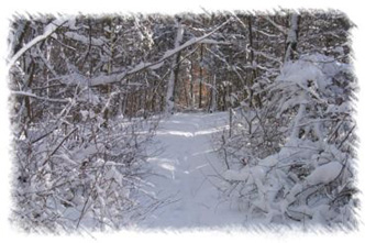 snowhike-110