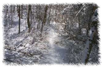snowhike-112
