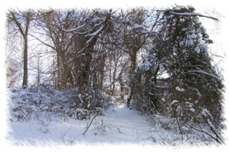 snowhike-115