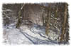 snowhike-012