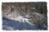 snowhike-013