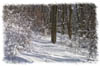 snowhike-016