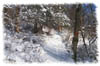 snowhike-019