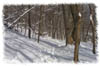 snowhike-030