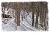 snowhike-031
