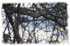 snowhike-042