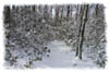 snowhike-046