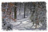 snowhike-048