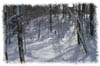 snowhike-060